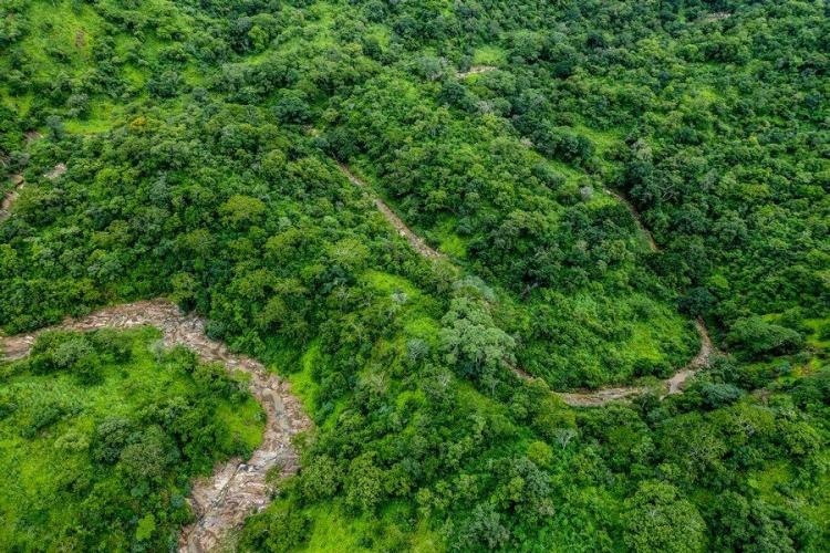 Thuma Forest Reserve